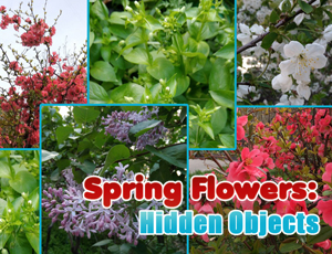 【Spring Flowers Hidden Objects】ゲームをプレイする