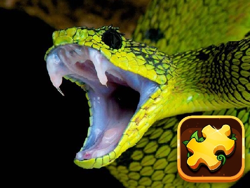 Play Snake Puzzle Challenge Thumbnail