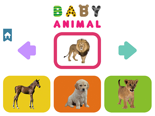 Play Baby Animal