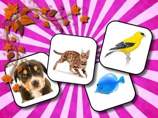 Play Animals Memory
