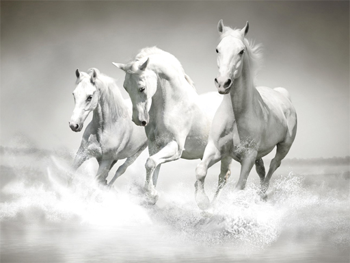 【Horses Puzzle】ゲームをプレイする