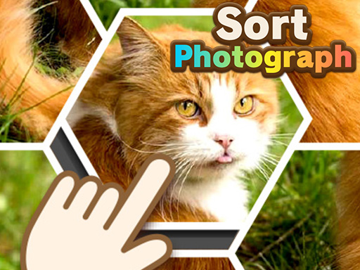 Play Sort Photograph Thumbnail