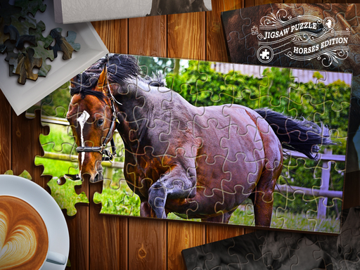 Play Jigsaw Puzzle Horses Edition Thumbnail