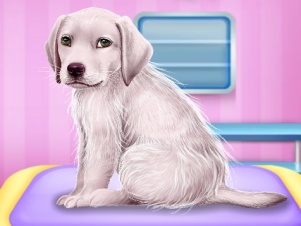 【Labrador at the Doctor Salon】ゲームをプレイする