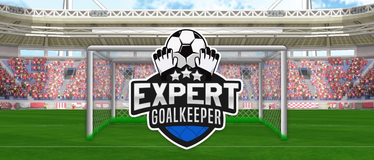 【Expert Goalkeeper】ゲームをプレイする