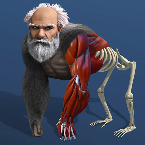 Play Idle Evolution From Cell to Human Thumbnail