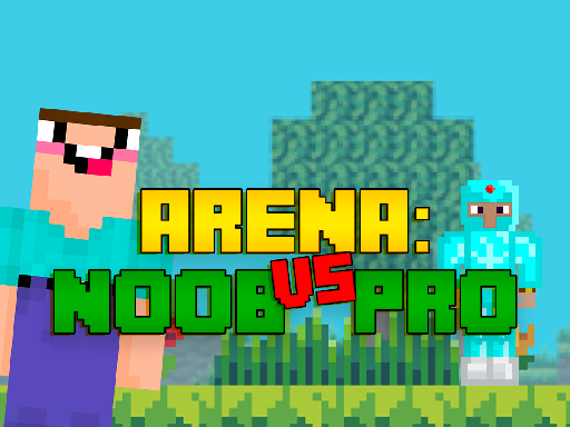 Play Arena: Noob vs Pro