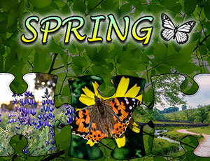Play Jigsaw Puzzle Spring Thumbnail