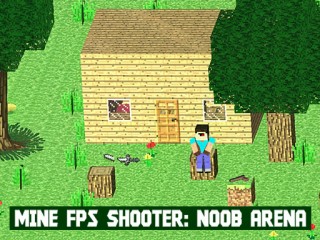 Play FPS shooter: Noob Arena