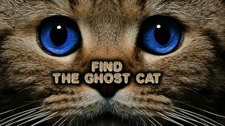 Play Find the Ghost Cat
