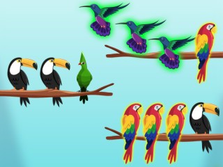 Play Bird Sort Challenges Thumbnail