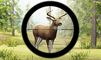 Play Contract Deer Hunter