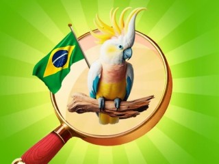 Play Hidden Objects: Vacation in Brazil