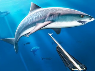 Play Hunting underwater spearfishing