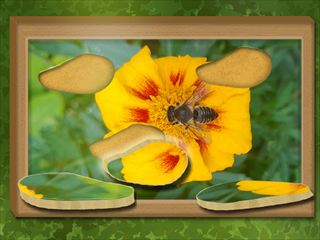 Play Find & Restore: Hidden Puzzle Thumbnail