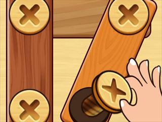 Play Screw Nuts & Bolts: Wood Solve Thumbnail