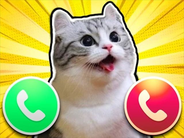 【Komaru cat】ゲームをプレイする