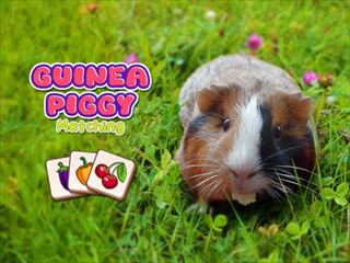Play Guinea Piggy Matching