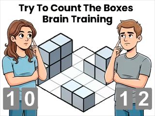 Puzzle [Try To Count The Boxes Brain Training] Games Thumbnail