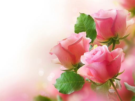 【Pink Roses Puzzle】ゲームをプレイする