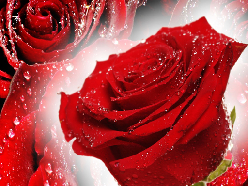 【Red Roses Puzzle】ゲームをプレイする