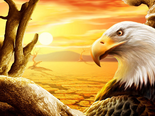 【Eagle Slide】ゲームをプレイする