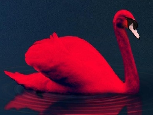 Play Love Birds Puzzle Thumbnail