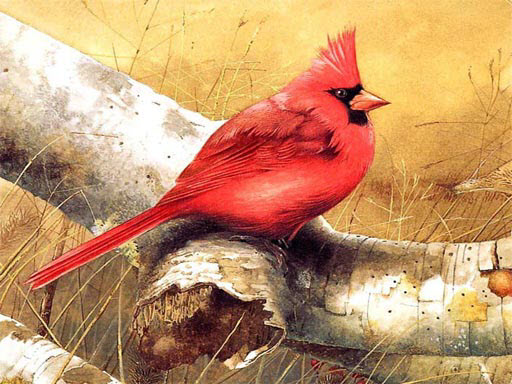 【Art Birds Puzzle】ゲームをプレイする