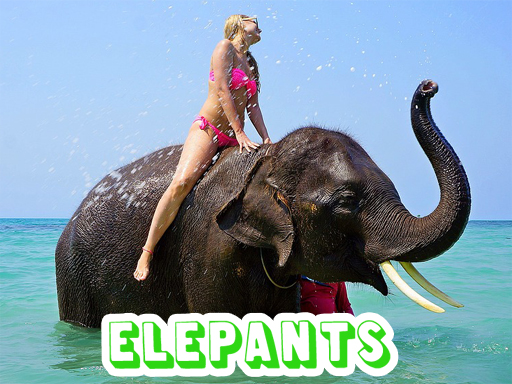 【Elephants Puzzle】ゲームをプレイする