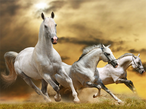 【Running Horse Slide】ゲームをプレイする