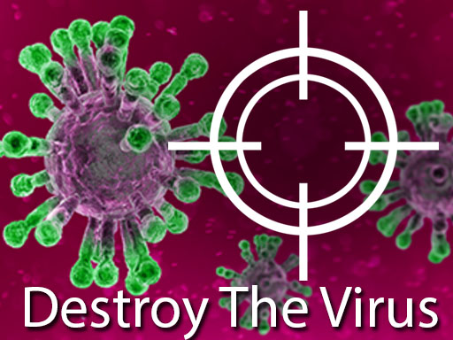 【Destroy The Virus】ゲームをプレイする