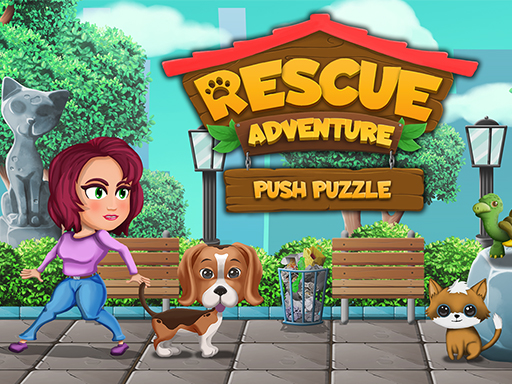 Play Push Puzzle Rescue Adventure