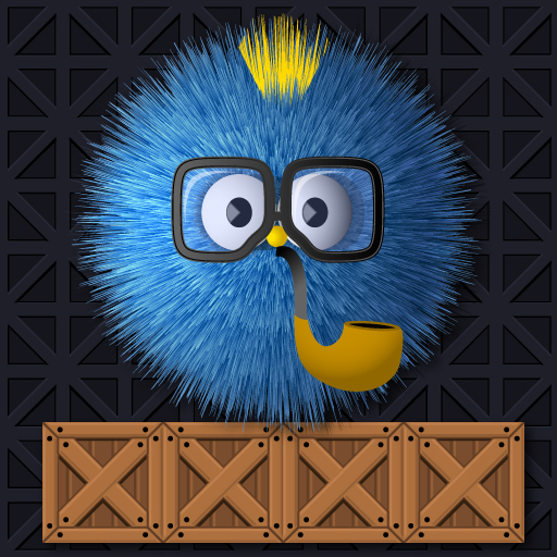 Play Where is my ruffled bird