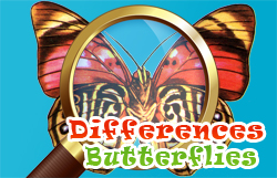 【Differences Butterflies】ゲームをプレイする