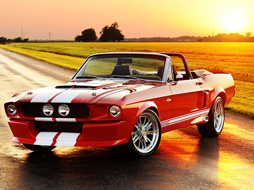 【Fancy Mustang Differences】ゲームをプレイする